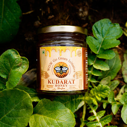 Kudarat Honey
